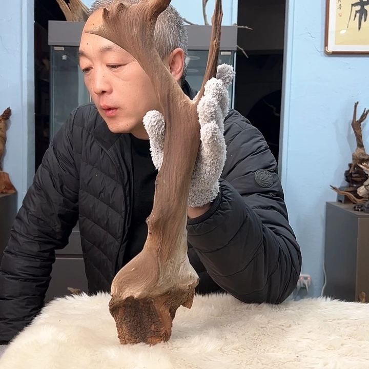 柏木柏**家我们的生活是以自己为中心