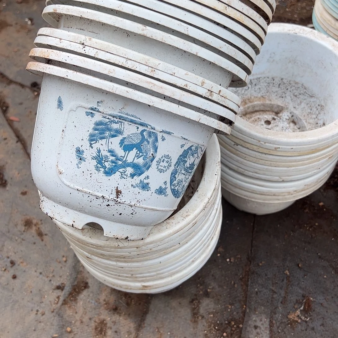 塑料富贵花开口径18发13个