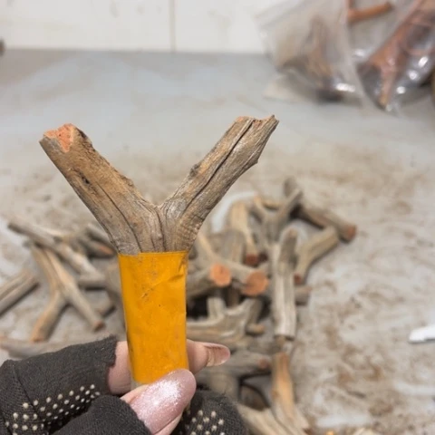 大果紫檀（缅甸花梨）紫****）