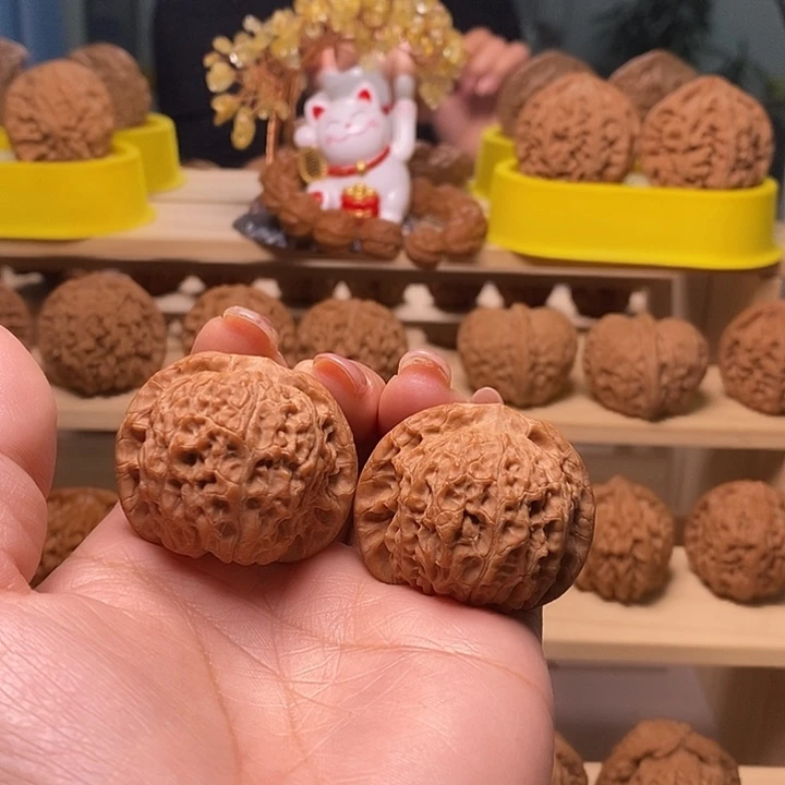 40尺寸的血麒麟核桃