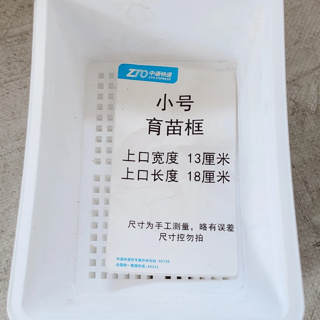 树脂小号育苗框白色10个