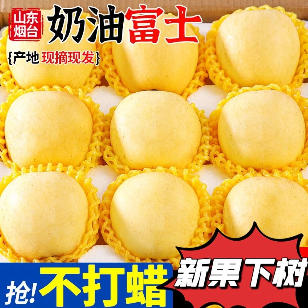 山东烟台黄金奶油富士苹果新鲜水果当季整箱现摘冰糖心整箱包邮