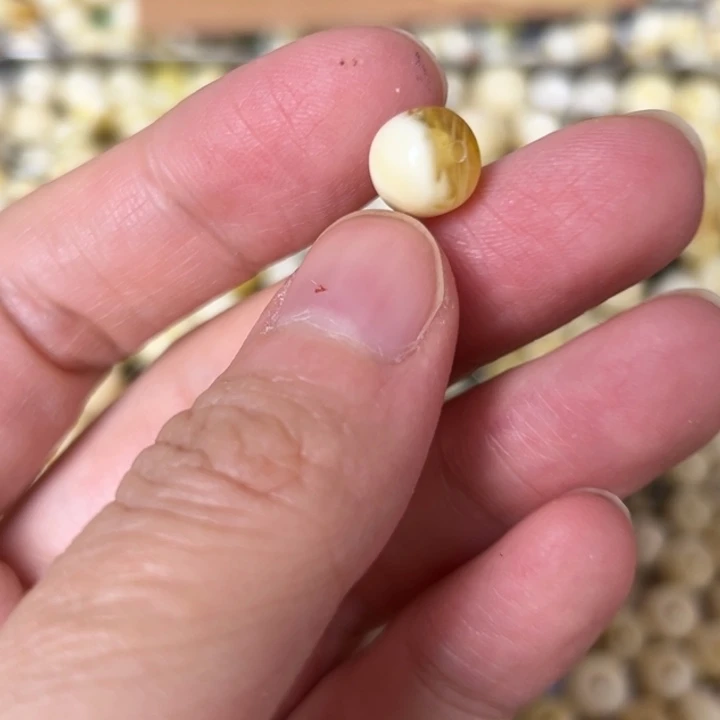 蜜蜡未镶嵌裸石8.5mm一个