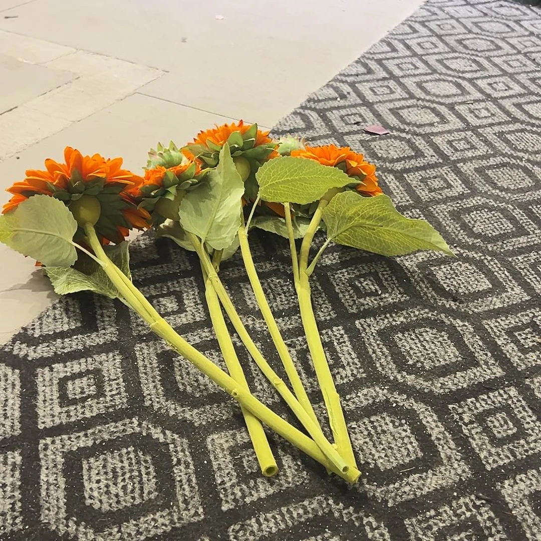 在***方瓶泰迪向日葵一把