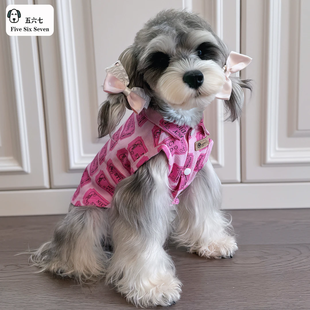 狗狗衣服秋冬潮牌中小型犬泰迪雪纳瑞柯基比熊猫咪宠物巨贵金毛