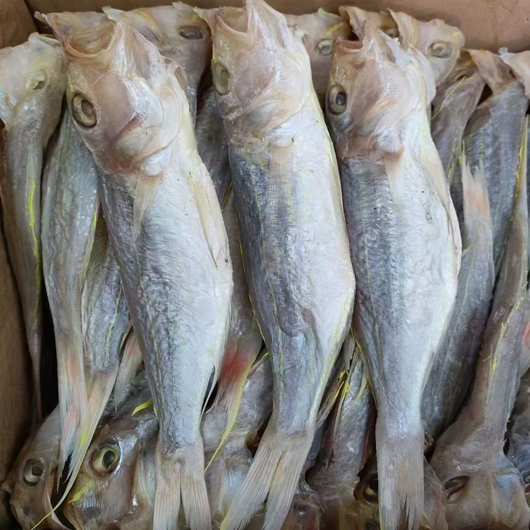 广东汕尾本港特产淡晒红杉鱼干整条带头钓哩脯海味干货金线鱼脯