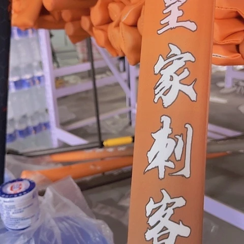 碳素皇家刺客8.1米8h