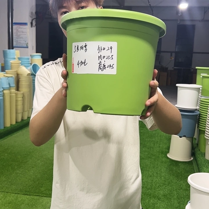 特价5号口29高24.5白色5支无托