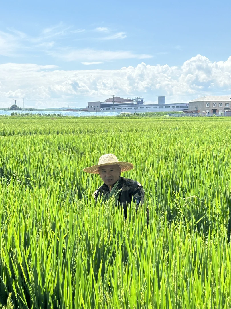 （小彭理发师，助农东宁大米）黑龙江东宁三岔口长粒香大米10斤