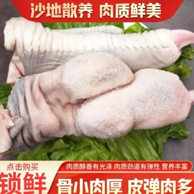 鸵掌（骨小肉厚 皮弹肉多）