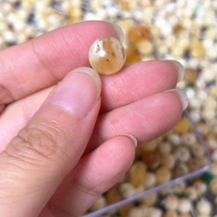裸石蜜蜡未镶嵌10.9mm一个