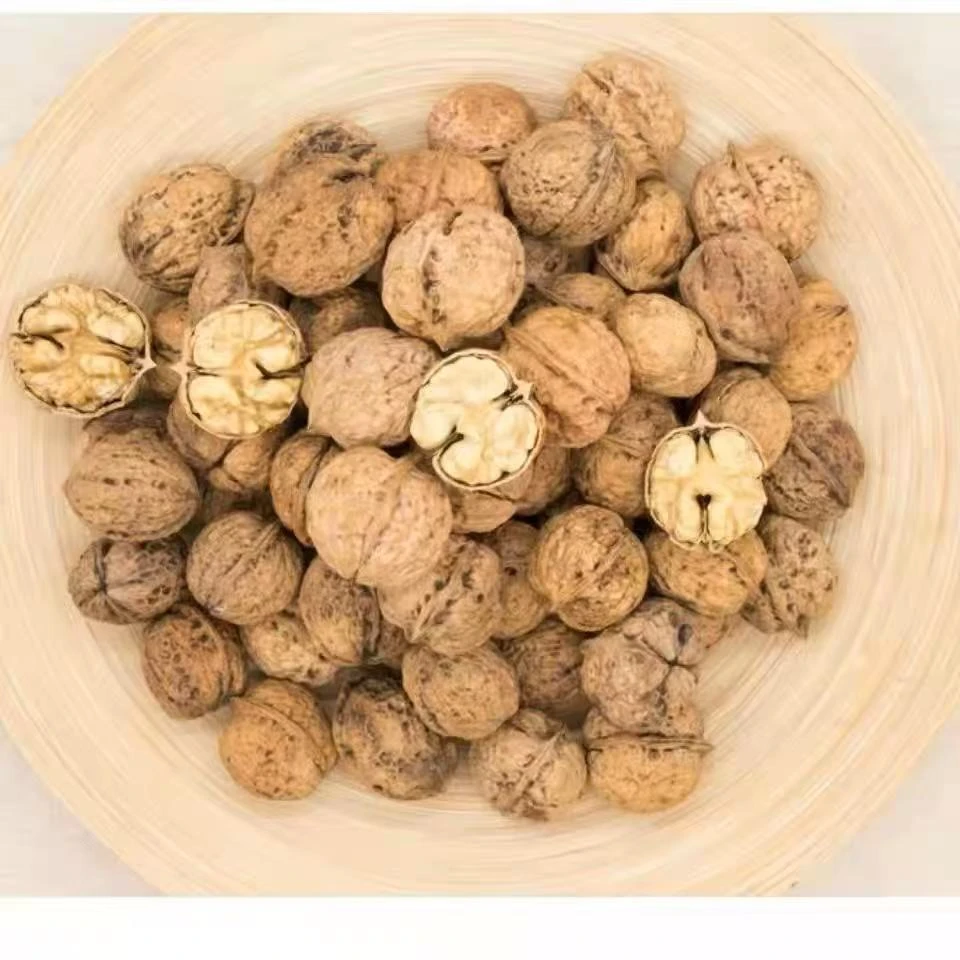 云南下山核桃临时链接