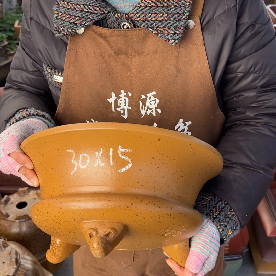 紫砂花盆盆景艺术