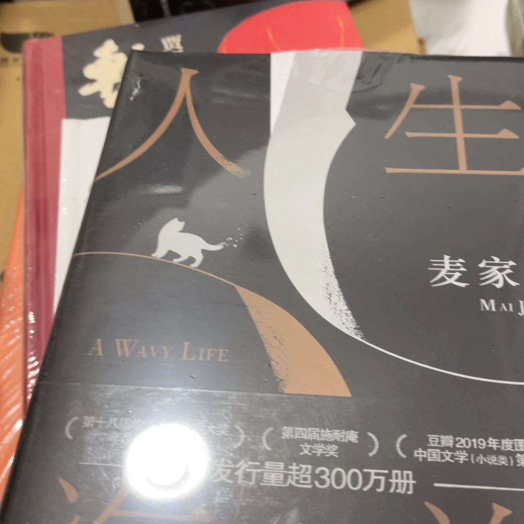 人生海海精装一个