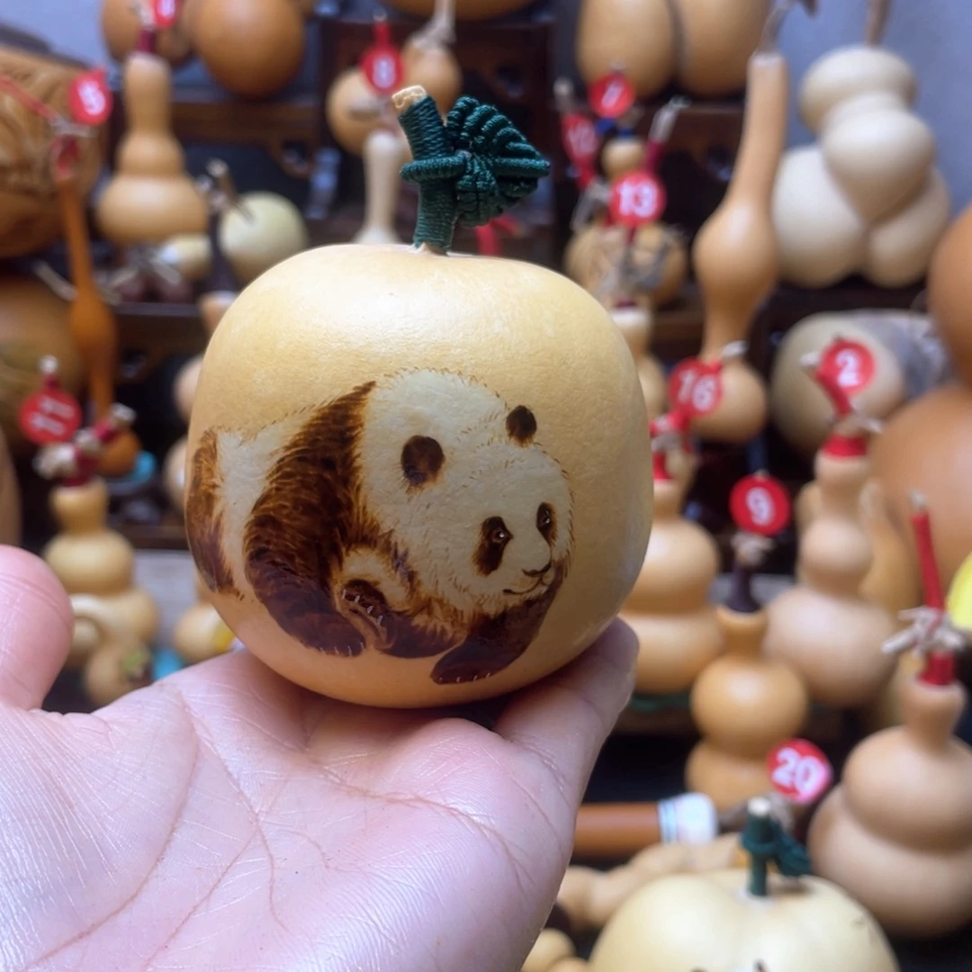 阿*大自然的秘密第十一节你的秘密