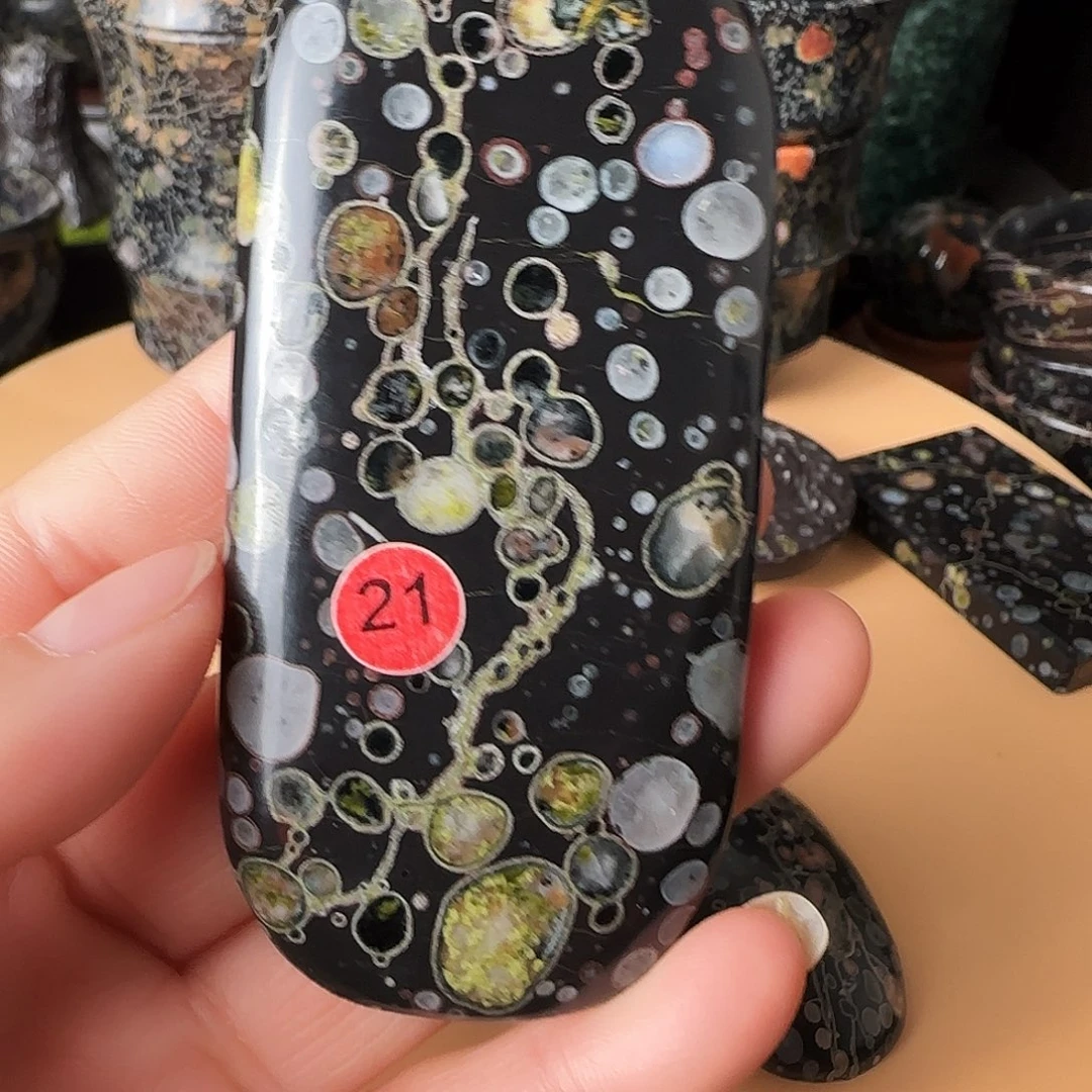 齐***阁梅花玉精美手把排