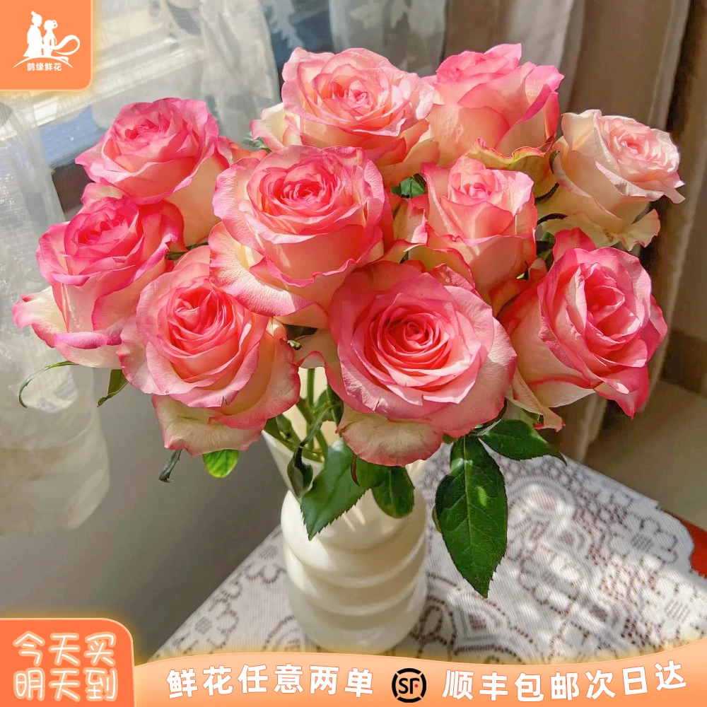 次日达 -【艾莎玫瑰】10枝单头玫瑰鲜花鲜切花家居优选批发任意两单升级顺丰包邮三单送随机花瓶今天拍明天到qw