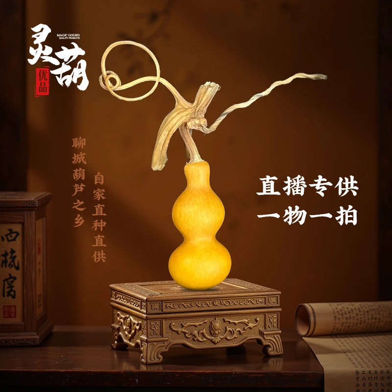 手串直播专享链接