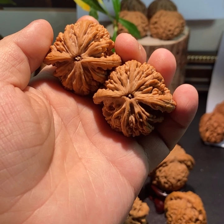 6***6核桃精品文玩核桃