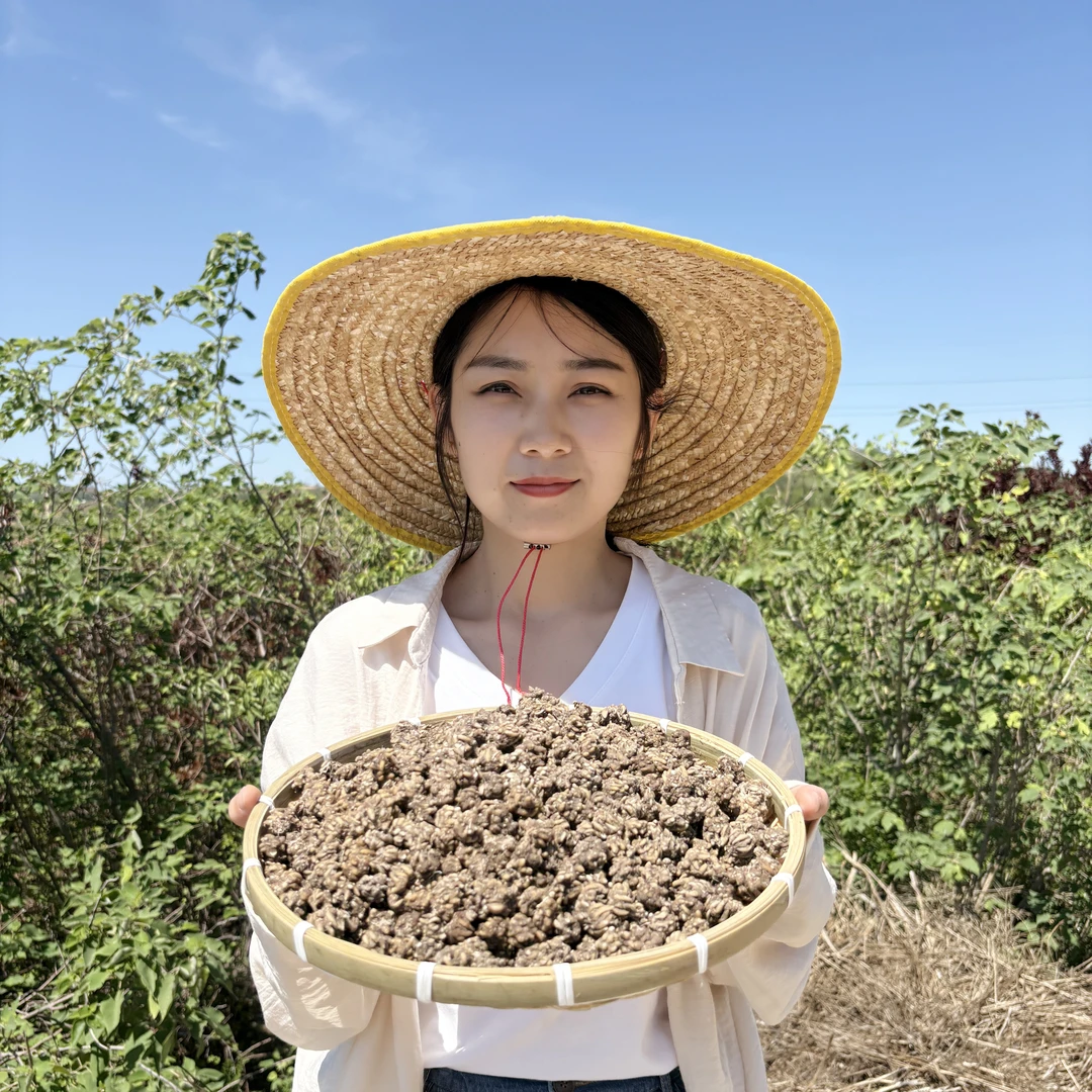 【可妹山货】山货 高含量 野生猫爪草 平时可搭配枸杞