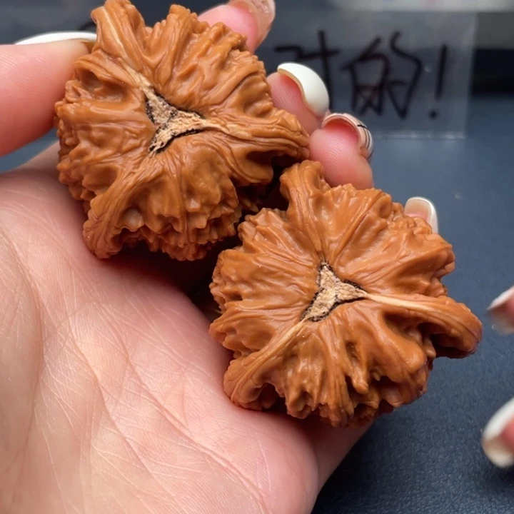 小***宋吊坠文玩核桃白狮子