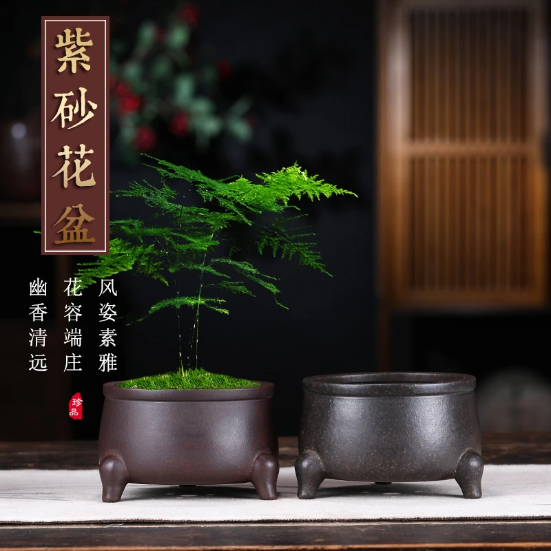 宜兴紫砂花盆径特价微型盆景盆栽菖蒲高档绿植吸水小多肉盆景盆