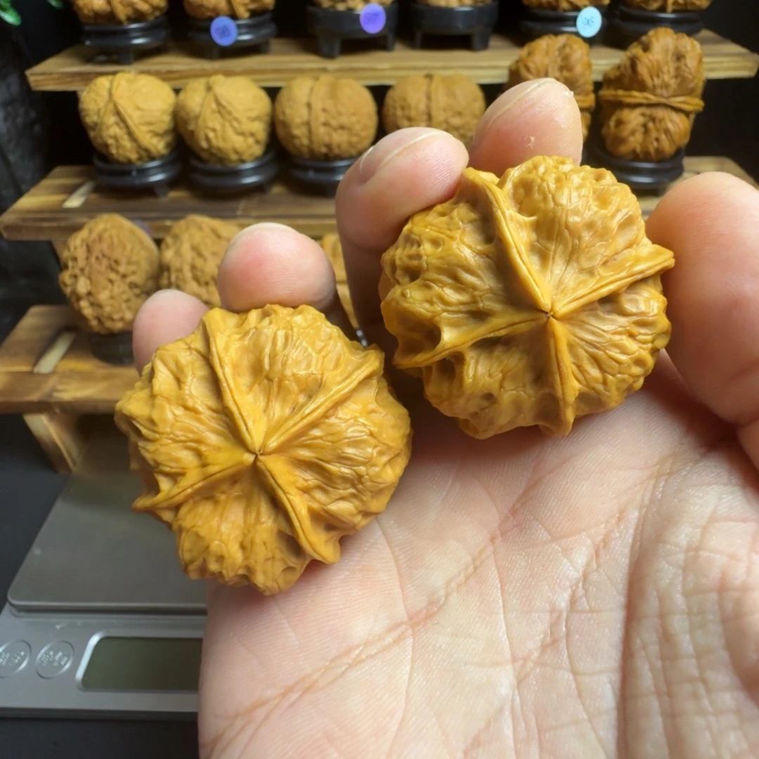 文玩核桃把件9号凤凰牡丹39尺