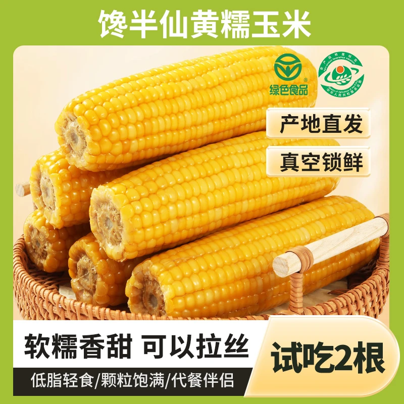 【馋半仙】25年山西黄糯玉米8根 黑玉米加热香软糯甜鲜嫩玉米棒220g