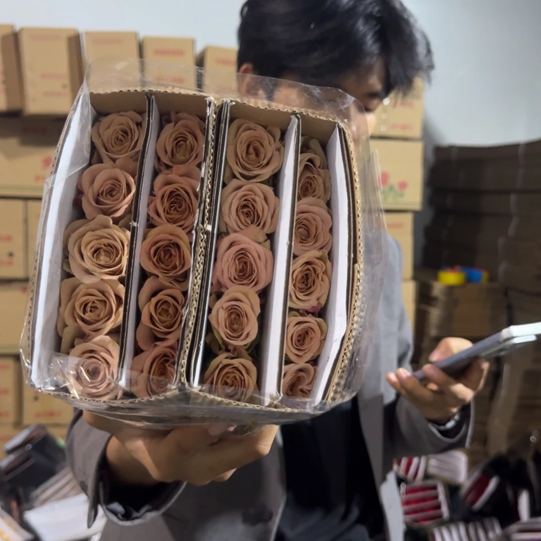 卡布2扎包邮价秒杀