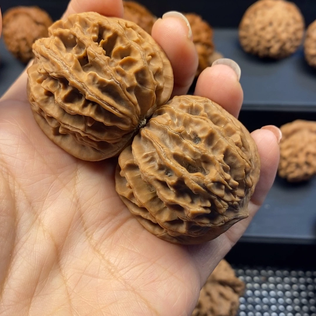 心***和手串/手链核桃秦岭南侧和东北的一