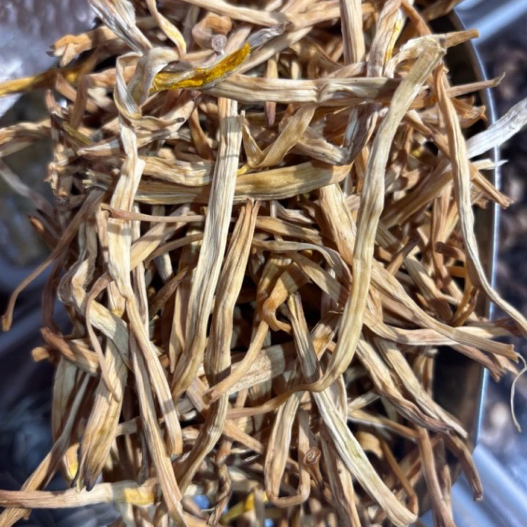 新货无硫黄花菜忘忧菜