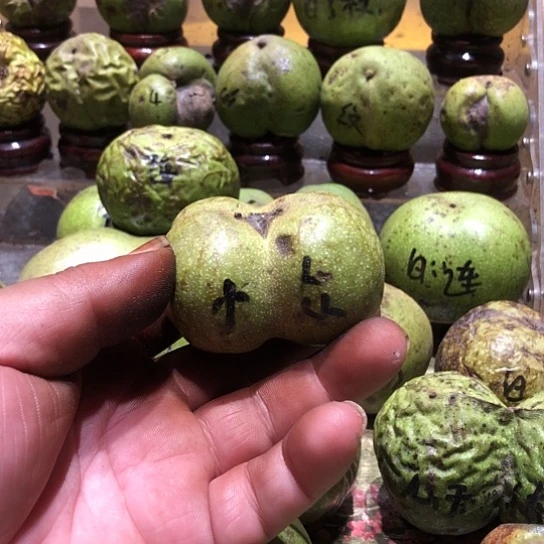 苦***来吊坠桃核核桃核桃