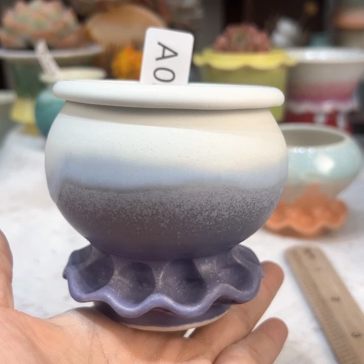 景德镇陶瓷研究所甜**子