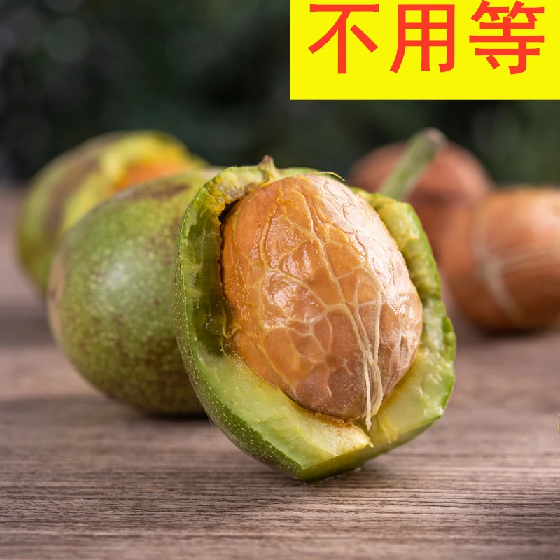 现货！2025新鲜核桃湿核桃去青皮生核桃薄皮大果嫩新黑桃新货孕妇