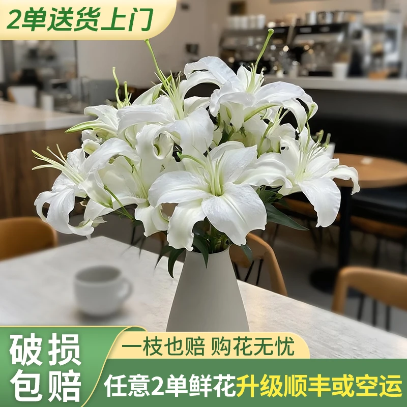 【云上花卉】西伯利亚香水百合 任意两单升级快递 发货后不支持退款