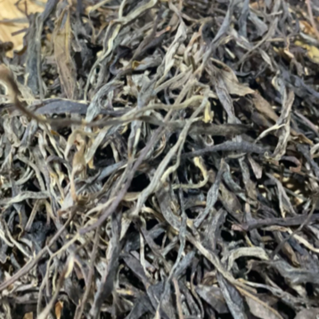 2023年头春头春李正飞家高杆古树单株100克