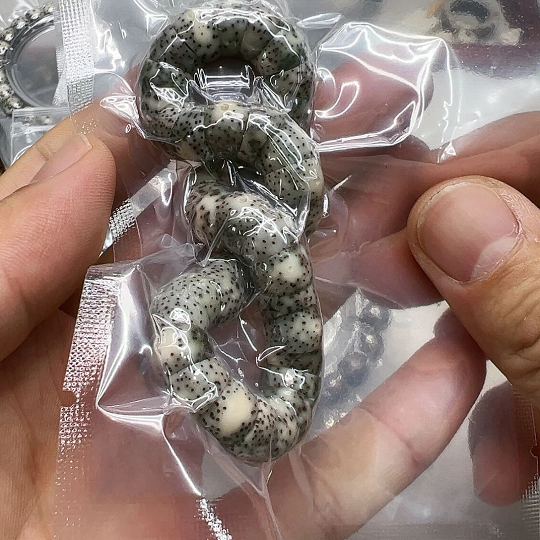 星月菩提手串吴**i1快乐星月菩提单圈