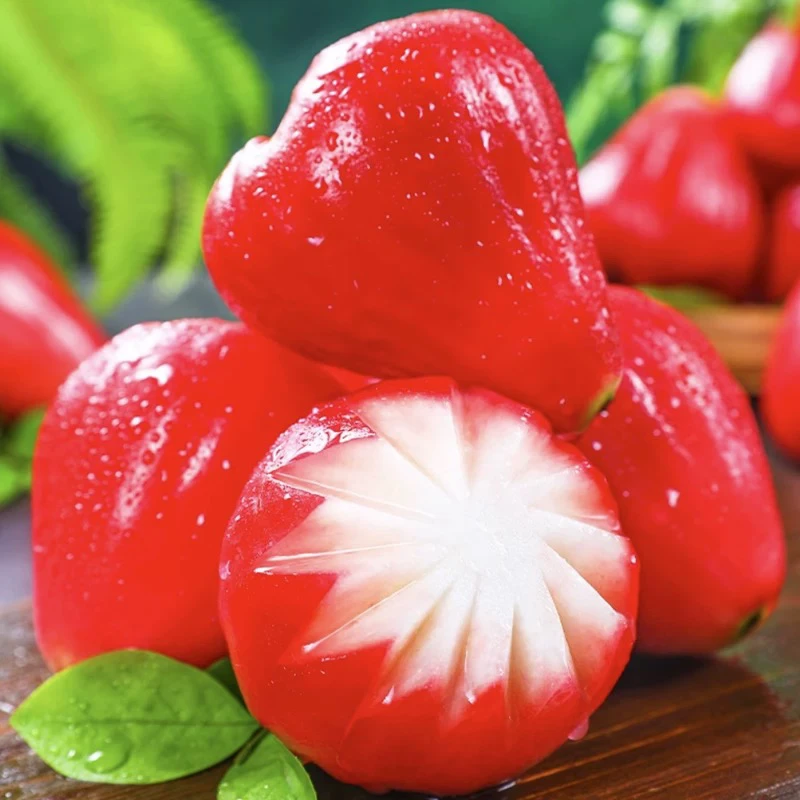 「海南」空运莲雾（3斤）（脆甜爽口）