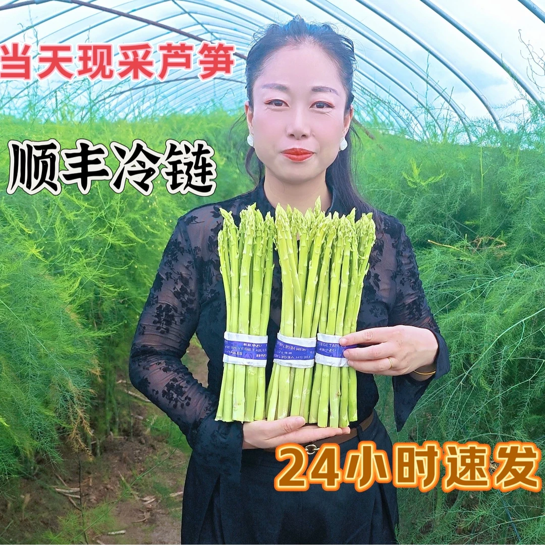 大笋中笋芦笋头 上海崇明头茬芦笋现采现发新鲜脆嫩多汁健康蔬菜