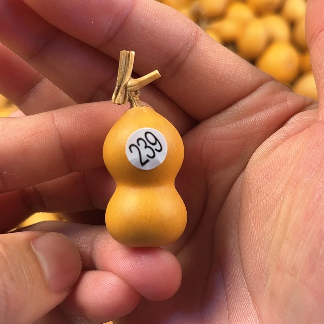 四葫芦葫芦葫芦葫芦239