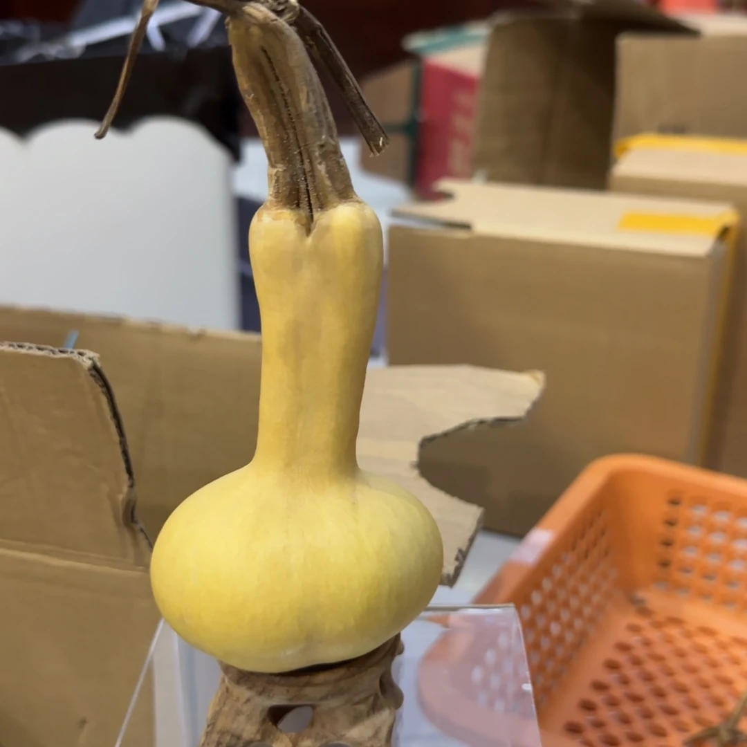 葫芦乐乐利润摸秃咯哦哦乐乐