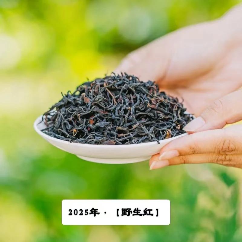 【副支书严选】2025年，优选野生晒红，具有蜜香蜜甜的野红