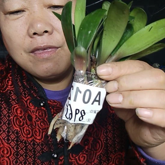 V***了完全开放0000000000