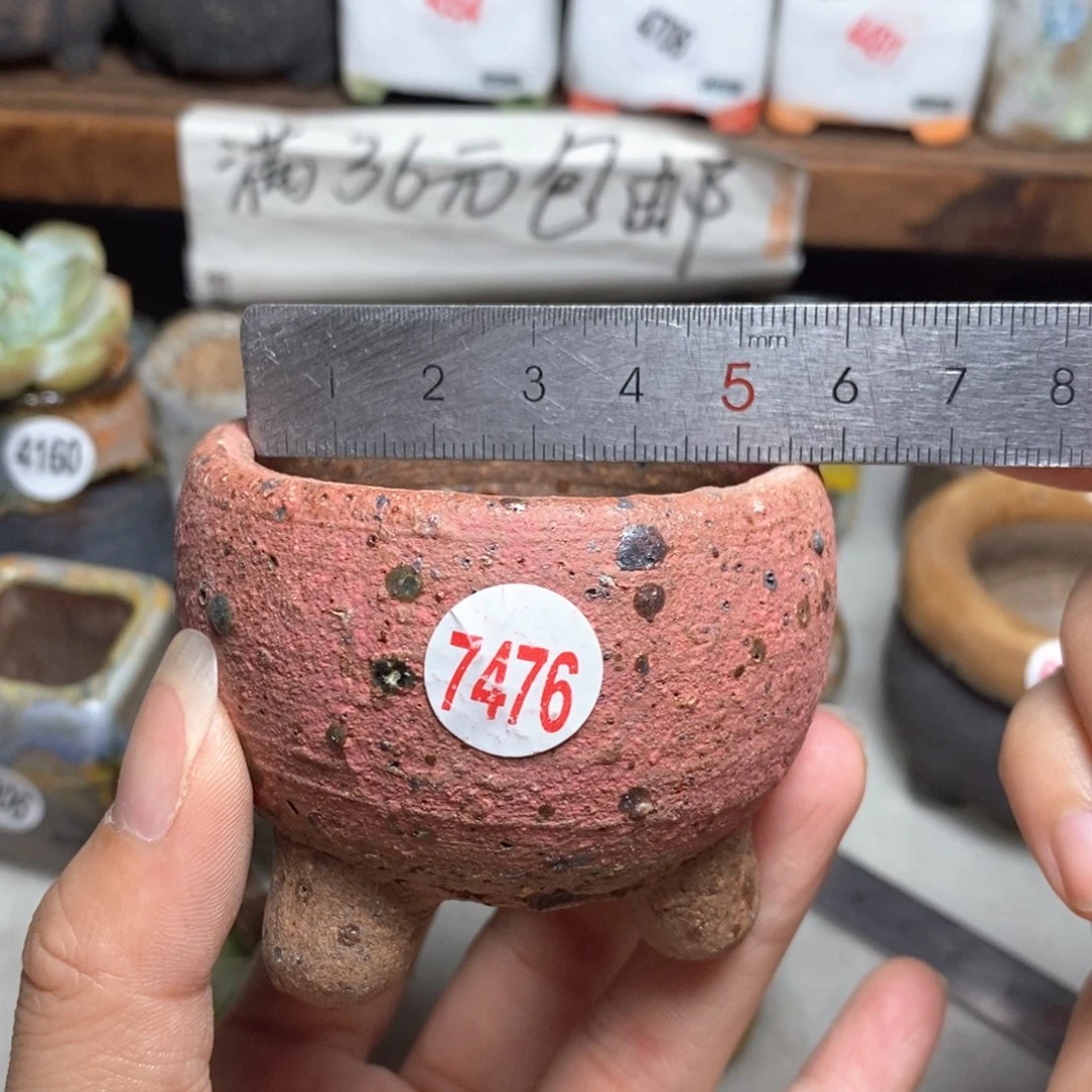 拍5送一个小礼物一