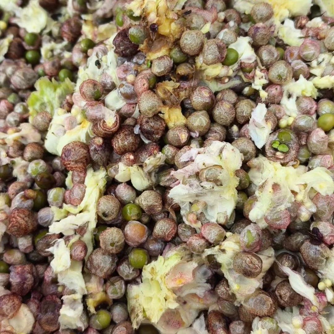 新鲜鸡头果原味芡实10-12cmm