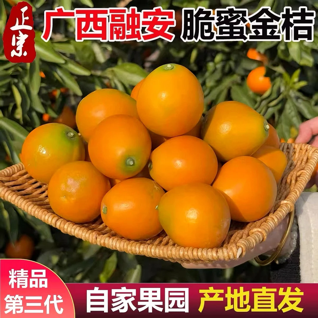 【脆蜜金柑】正宗第三代脆蜜金桔鲜果当季水果新鲜现摘整箱纯甜融安