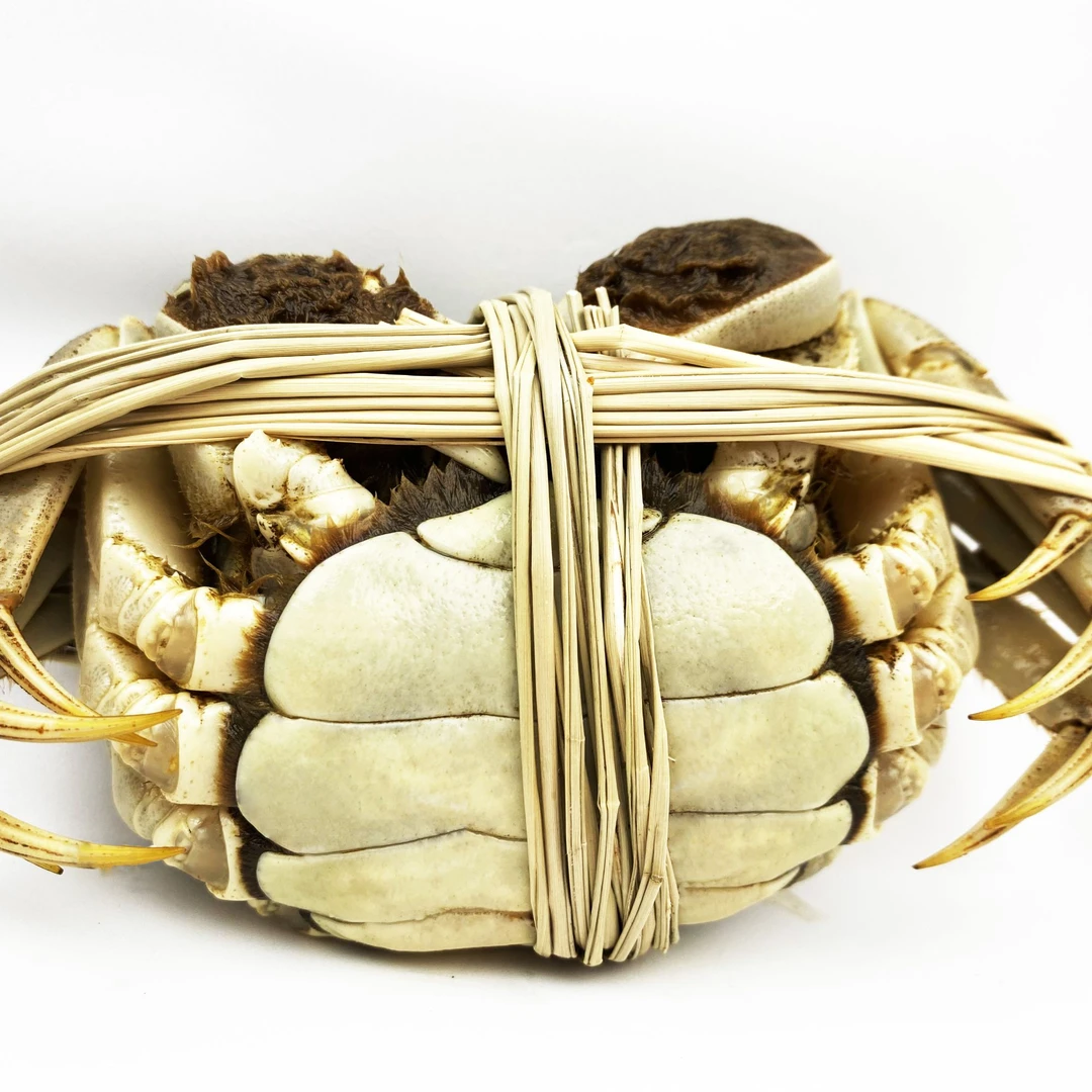 活蟹江苏大闸蟹全母蟹2-2.3两买6只送4只京东顺丰无绳净重