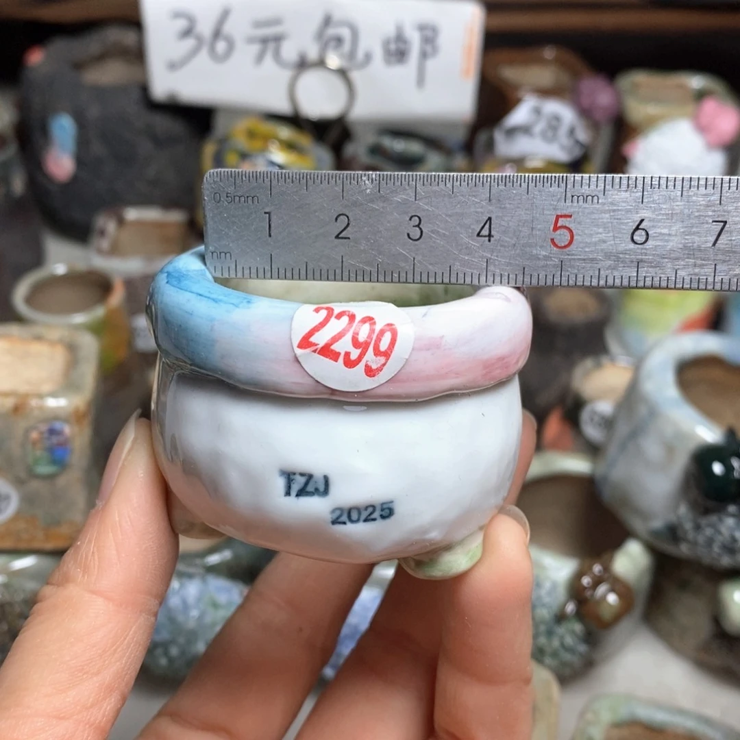 拍3送一个小礼物