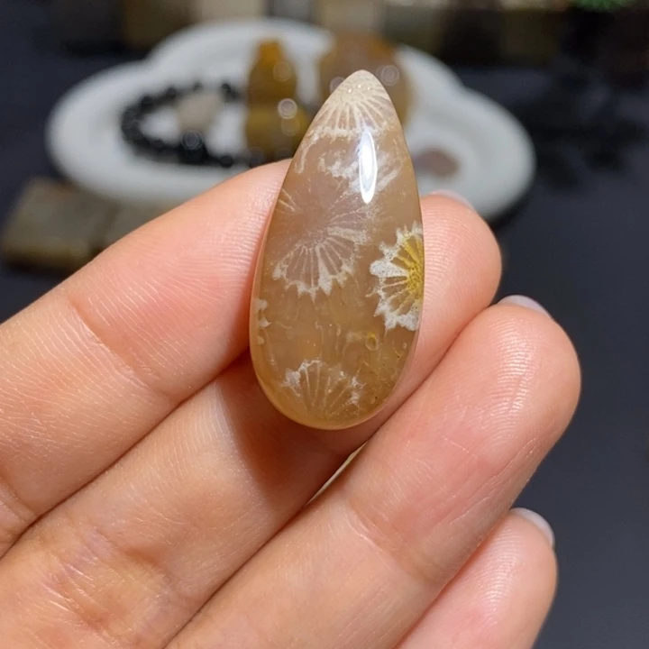 【闪购商品】未镶嵌珊瑚玉硅化玉