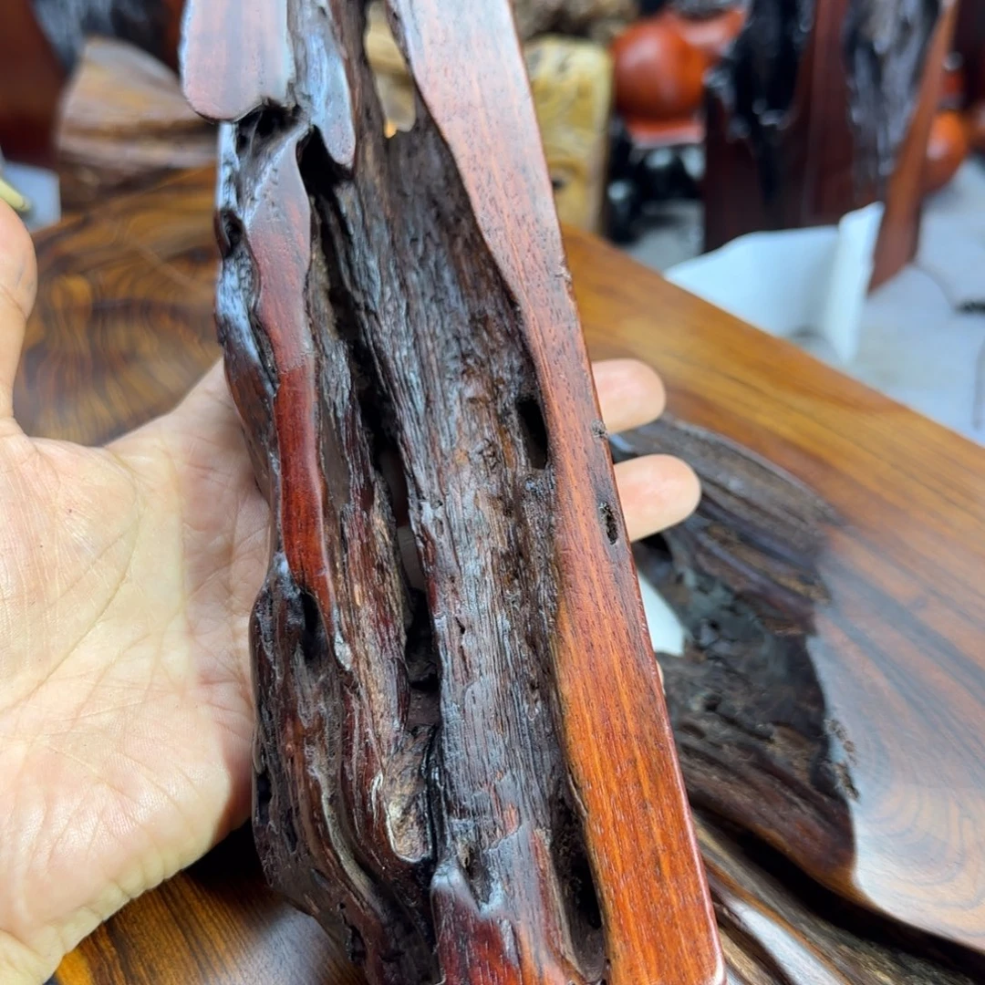 大果紫檀（缅甸花梨）力